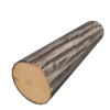 TroncoFaggio.png